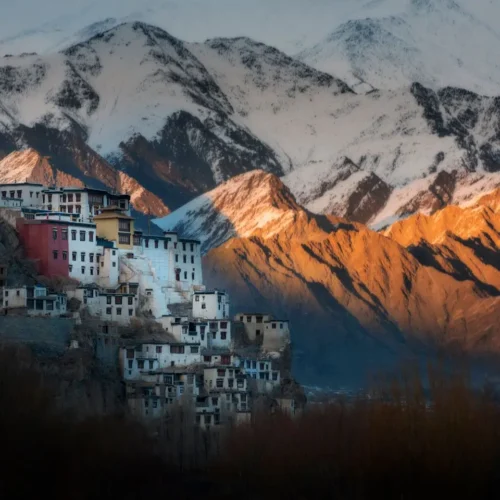 A Himalayan Adventure in Ladakh